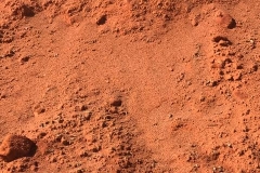 Sandy Clay